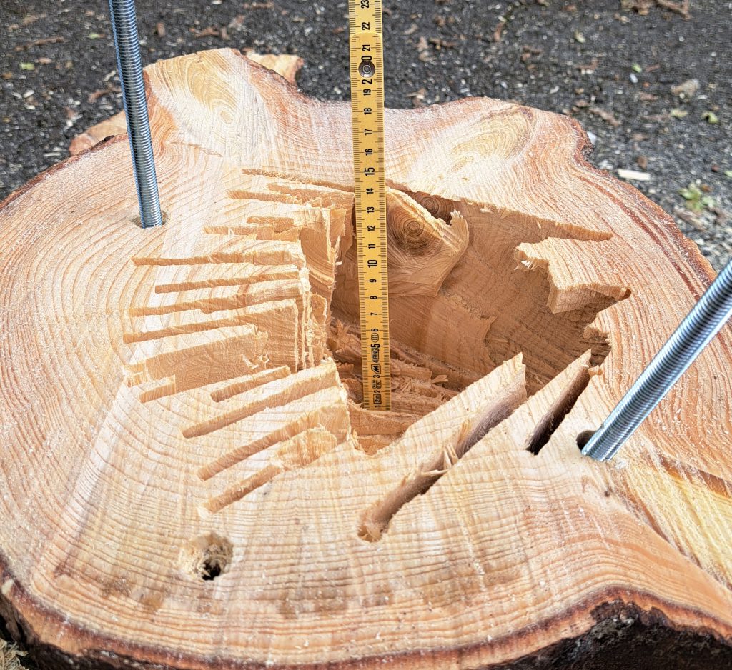 Chainsaw carved nest hole for Stiftung Wildstation Landshut - cut open to show internal structure.