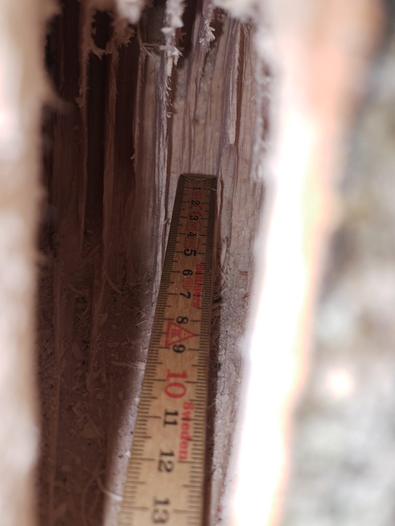 A runner showing internal dimensions of a nest hole carved for Eliomys quercinus © Will Robertson