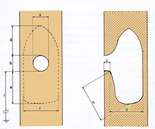 Typical dimensions of a naturally occurring nest hole for Pteromys volans.